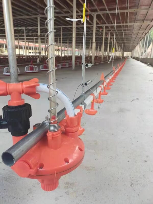 Poultry floor-rearing automatic feeding and drinking line - Image 4